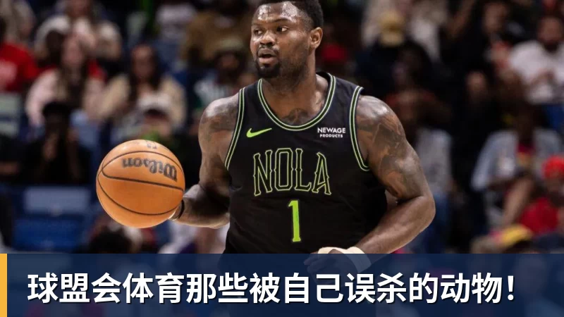 球盟会体育那些被自己误杀的动物！